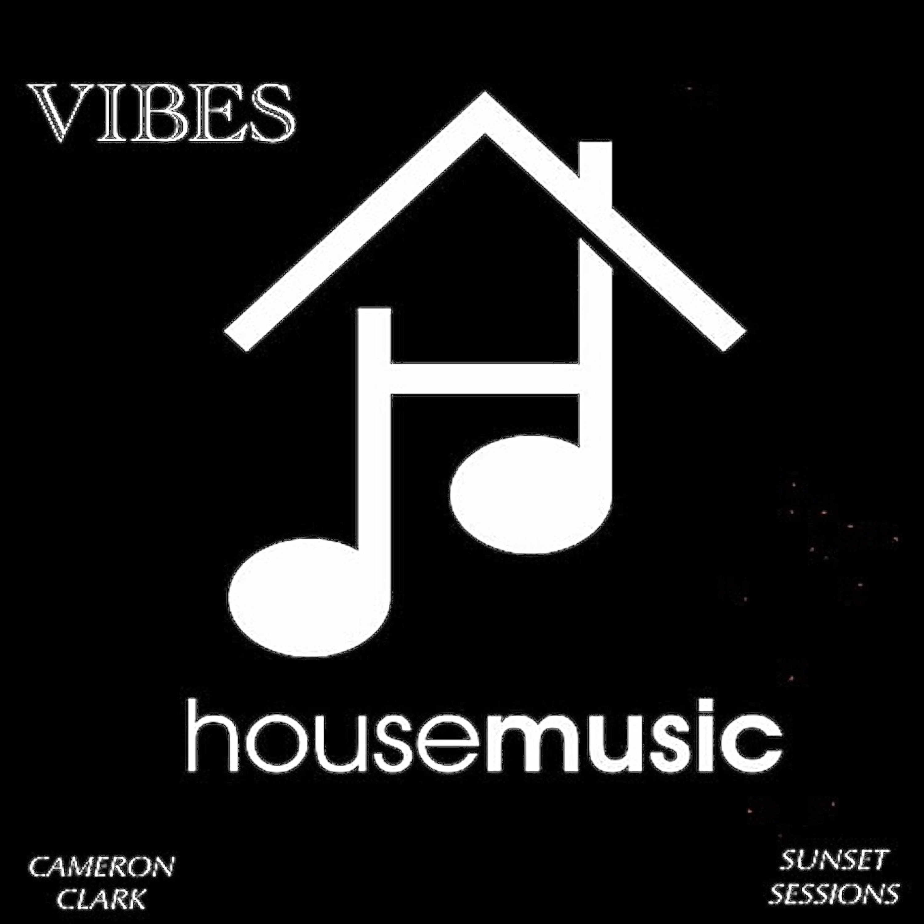 Ep. 135 "VIBES" (House Music) episode artwork