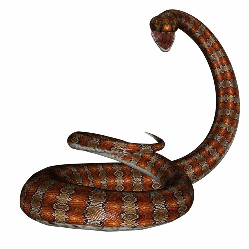 Le serpent