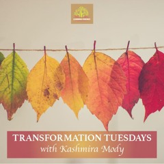Transformation Tuesday - Episode of 19th January