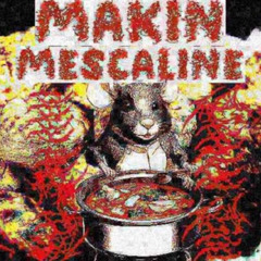 MAKIN MESCALINE (Ft Vøid Rat, 3RABU$)