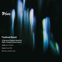 Festival Reset - A Nervous System Reset for High-Energy Environments