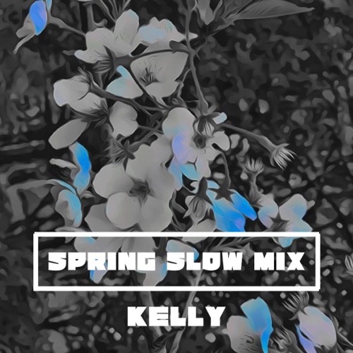 Stream SPRING SLOW MIX Vol1 by KLY | Listen online for free on SoundCloud