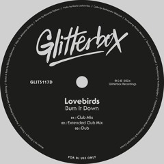 Lovebirds - Burn It Down (Extended Club Mix)