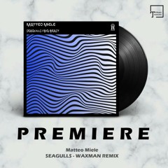 PREMIERE: Matteo Miele - Seagulls (Waxman Remix) [MY SECRET AGENDA]