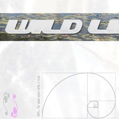 Amylia @ Wildlife - July 11 2025