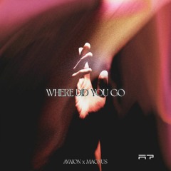 AVAION , MAGNUS - Where Did You Go (Ali7e Remix)