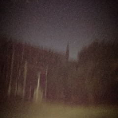 Sleepwalking