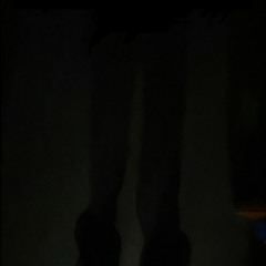 spider lily +empty roads