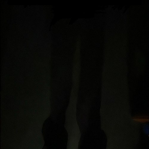 spider lily +empty roads