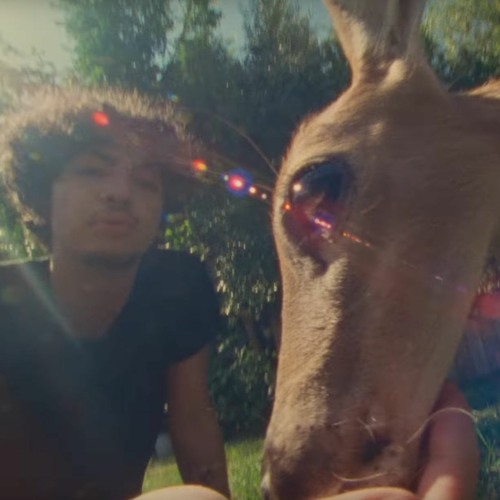 ericdoa - dancing w/ somebody (snippet) *deermix*