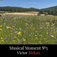 Musical Moment №5 - Improvised Piano Piece