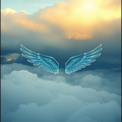 Glass Wings