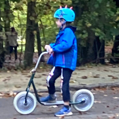 Verdwaald in vrijheid