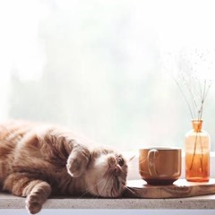 Перепёлов и Алехандро. Просто хорошо!