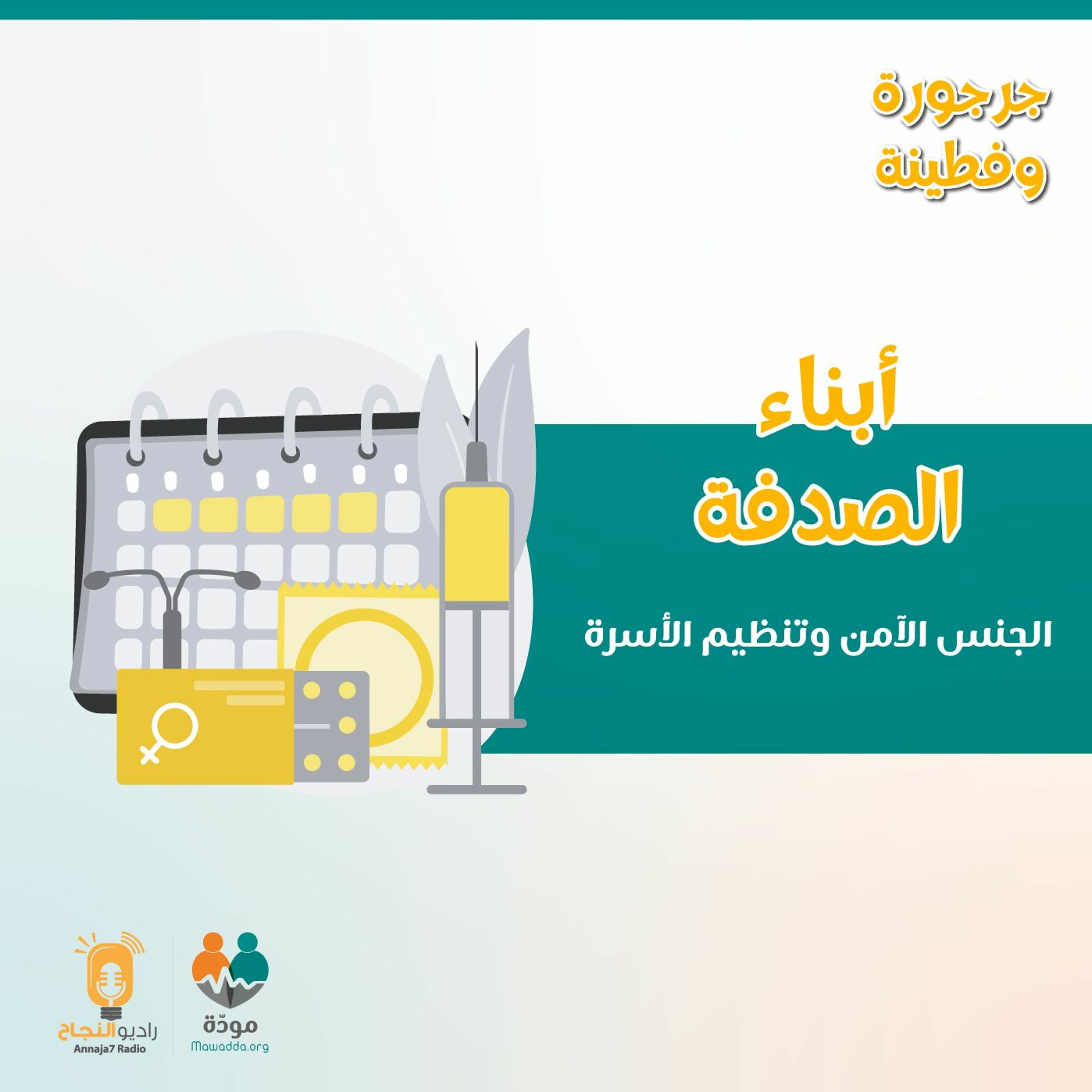 أبناء الصدفة: وسائل تنظيم الأسرة episode artwork