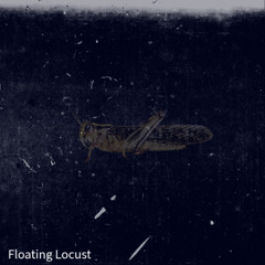 Floating Locust