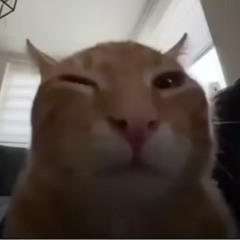 PURR