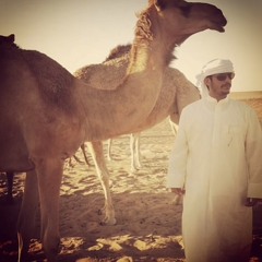 عبيد بن صويلح الهاملي