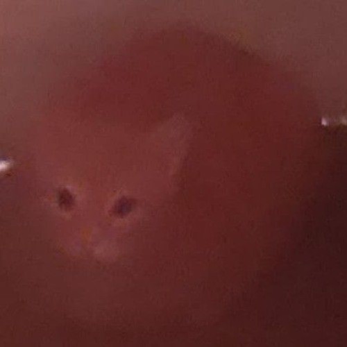 Masha and the Bear Sweet Tooth Remix Trap/Phonk