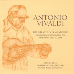 Allegro: Concerto in d for Guitar, Viola d'Amore, Strings & Continuo