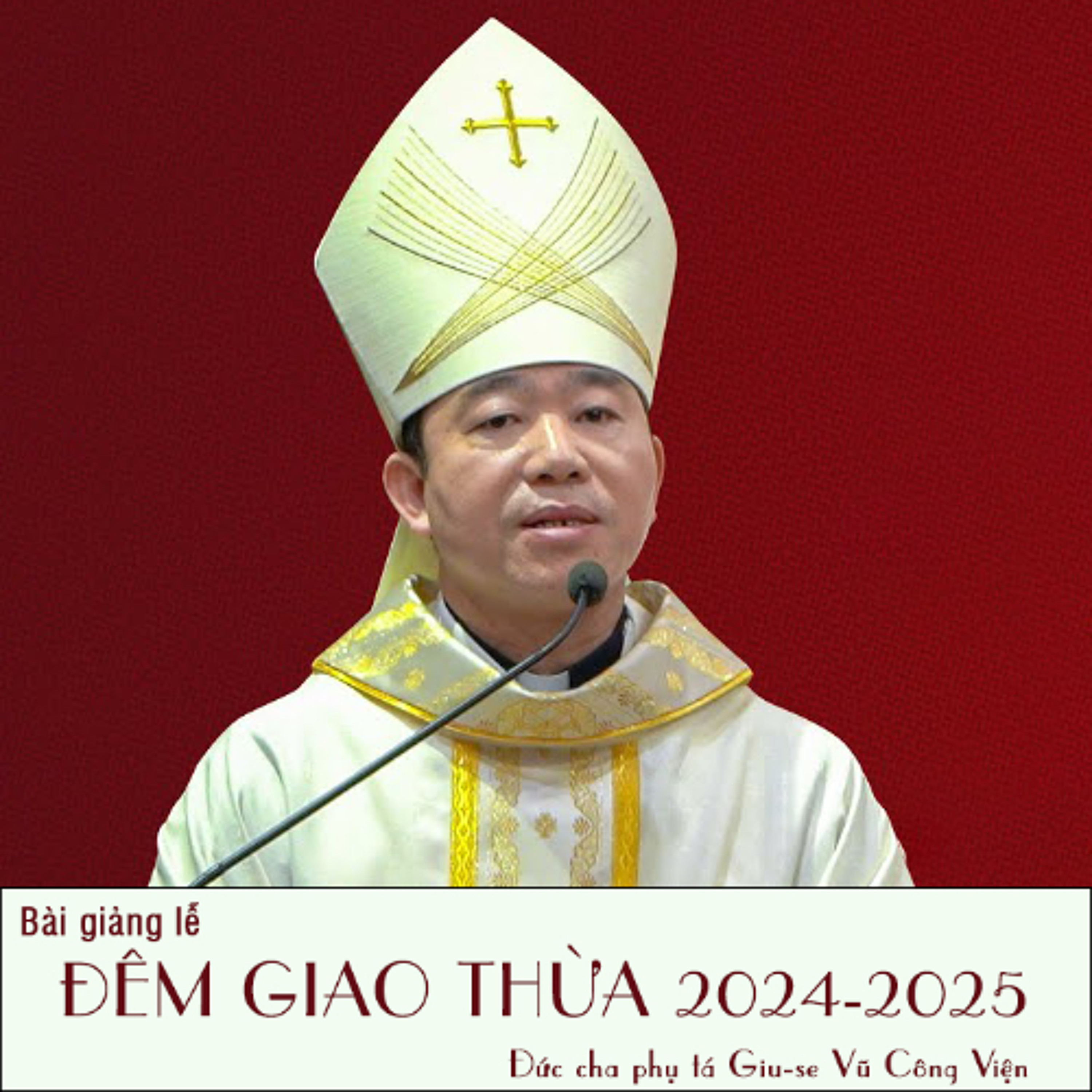 Bài giảng Thánh lễ Giao Thừa 2024 - 2025 episode artwork
