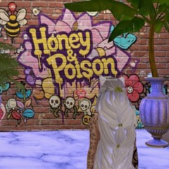 Honey & Poison (Disstrack).mp3