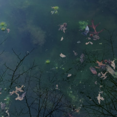 encompass nov 8 (weekend chill vibes plus {un}expected intensities)