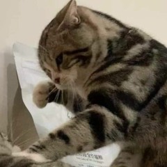 cũng được đấy chứ =)))