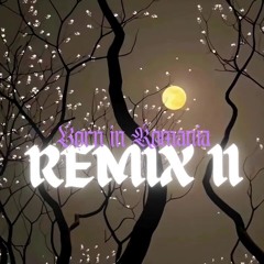 BLVCK MONK - Born in the streets of Romania (Remix 2)