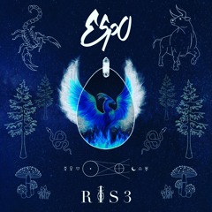 RISE - Tribal Origins Mix