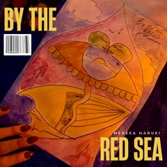 By the RED sea (Edit) - Ankara / Umm Kulthum / Space is the place / Song of a sinner