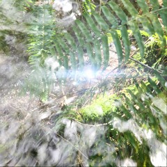 absorb ◌ (me2u)