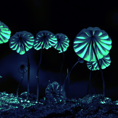 Marcianadas Makalawis 001 (Original Mix)