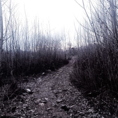 DIE_IN_HELL_OR_DIEMETALL