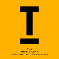 Strong 2 Survive (Tube & Berger Extended Mix)