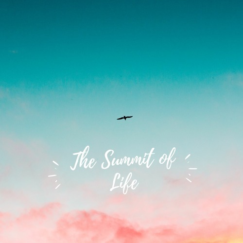 The Summit of Life (Rubab Instrumental)