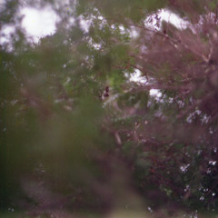 हूँ🖭 XX - 0.2(cc01)