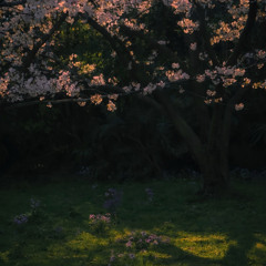 Mixtape | End Year 2025 |