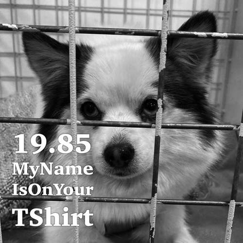 My Name Is On Your T-Shirt