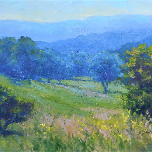 Summer meadow