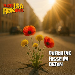 Durch die Risse im Beton