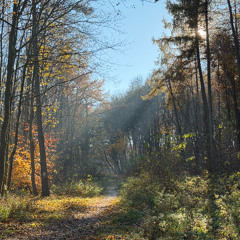 Melody electronic remix