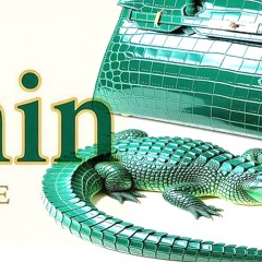 LES CRIS DANS MES OREILLES - intro