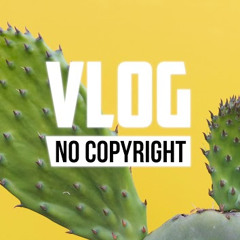 Vinsmoker & Anthony Meyer - I Know (Vlog No Copyright Music)  (New Version)