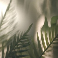 dj fury, craig morris - blush