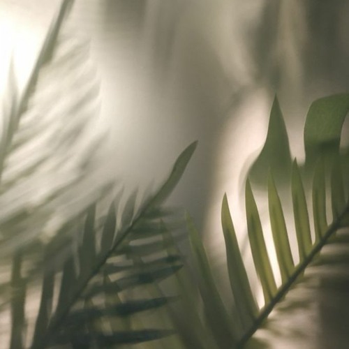 dj fury, craig morris - blush