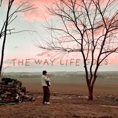 The Way Life Goes