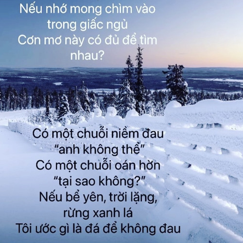 Mùa hạ năm ấy