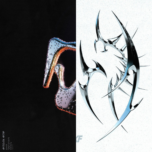 Sub Focus - Original Don x Kanine - Feel The Vibration (Cayo Mashup)