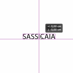 SASSICAIA....Stotuttaclippataedisorta2280kick1\2disnaresuonisisovrappongonoesiannullanoesicomplicano